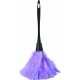 Feather Duster